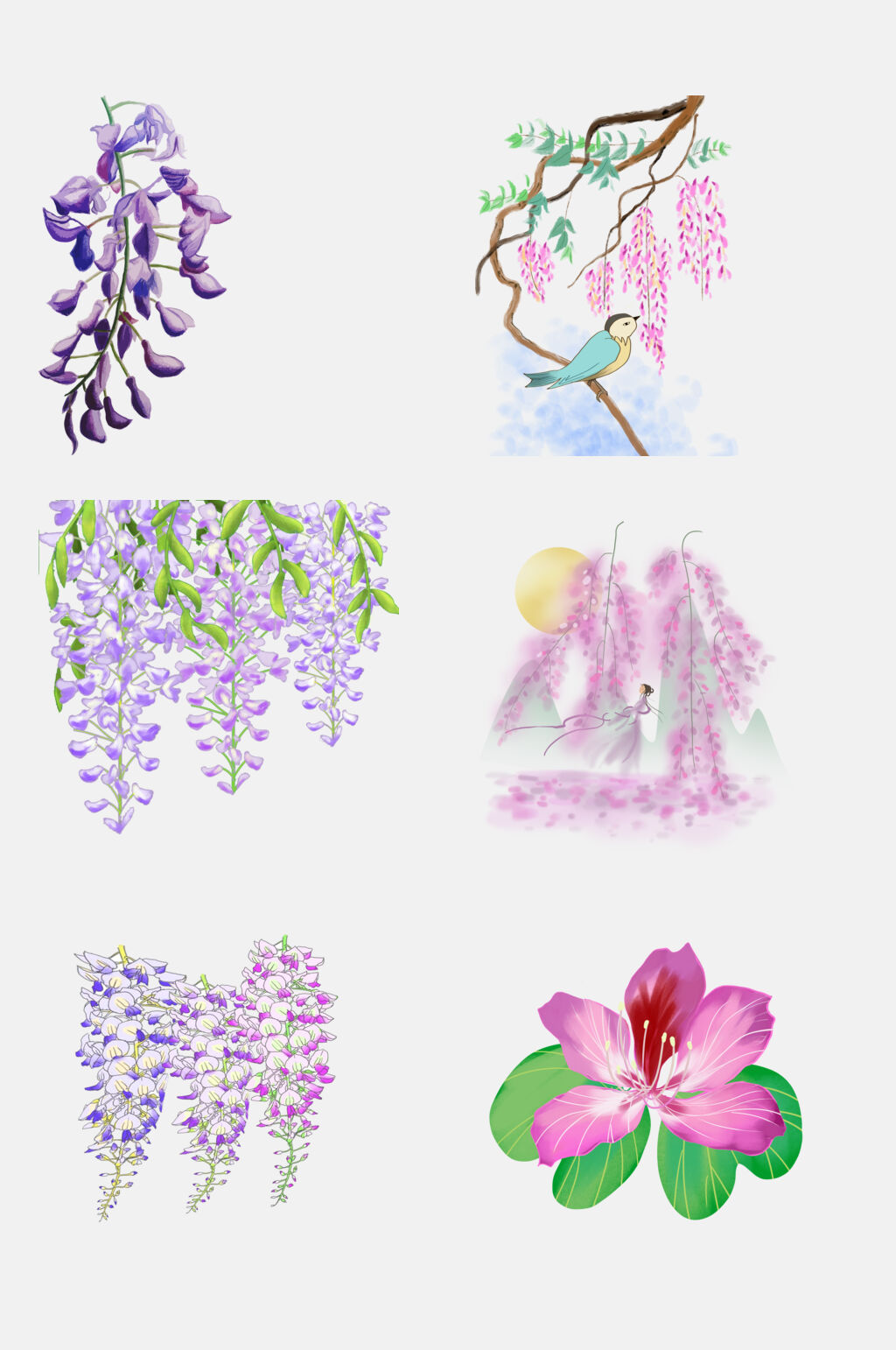 清新水彩紫藤萝花卉花朵设计元素素材
