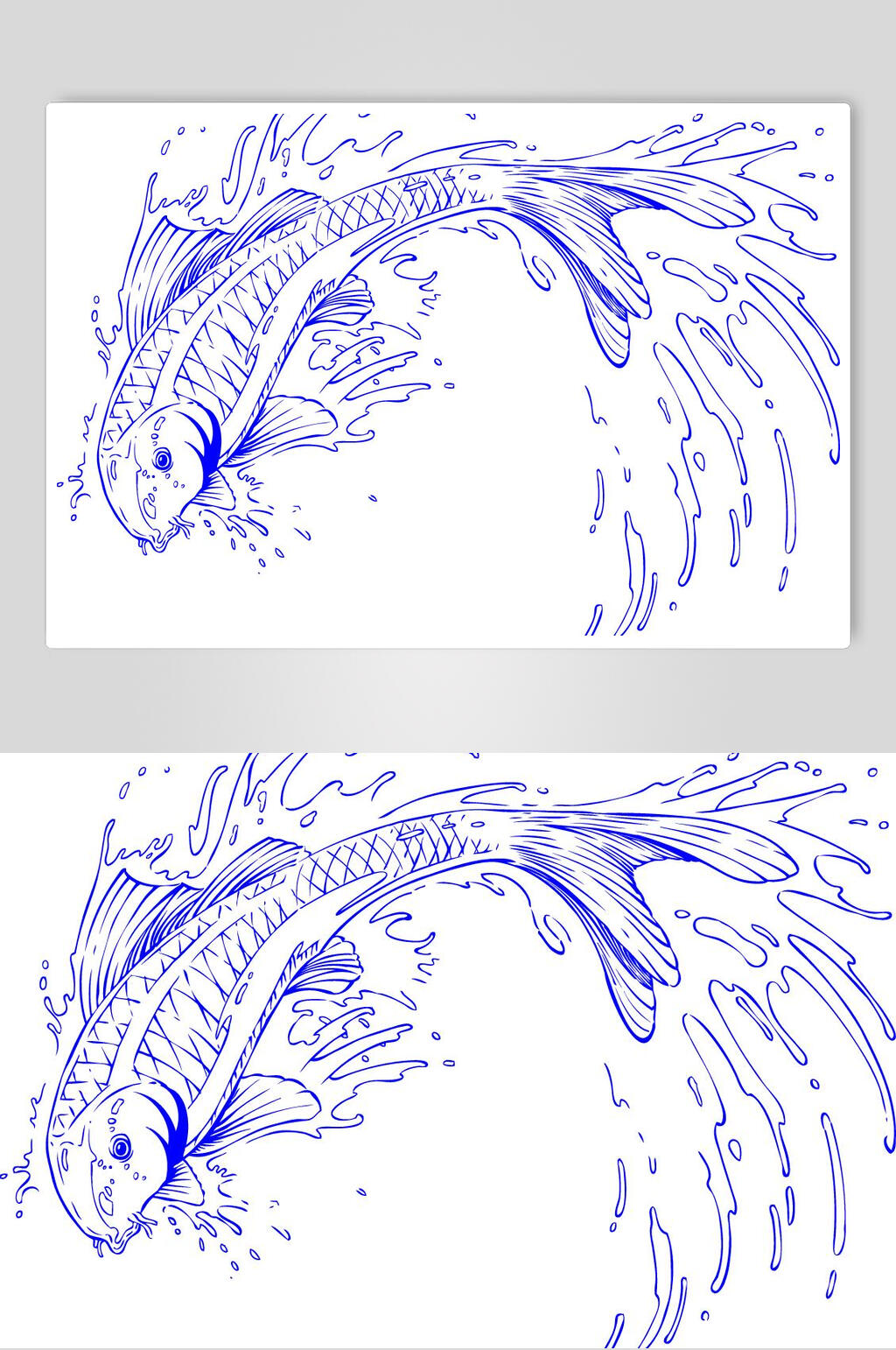 鲤鱼素描图片大全图片