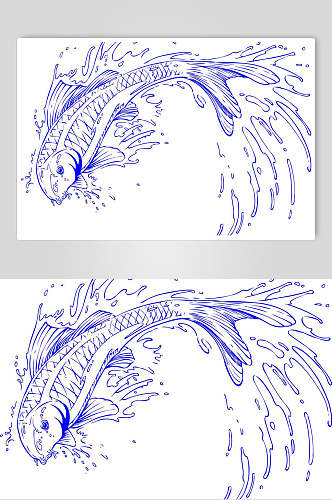 线描素描勾线锦鲤鱼素材