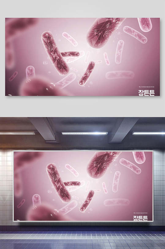 紫色渐变生物科学肠胃健康背景素材
