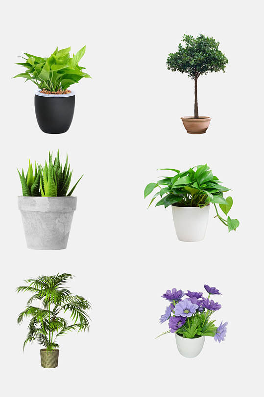 怎么找绿植素材网站_绿植素材图片大全