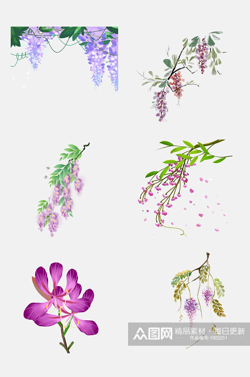清新水彩紫藤萝花卉花朵设计元素素材
