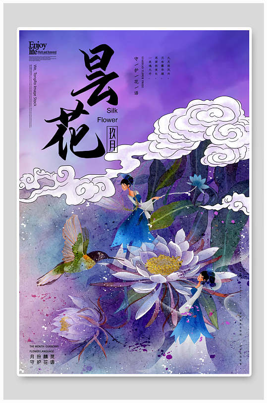 月份昙花花语海报