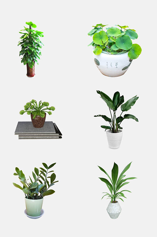 免抠png盆栽图片-免抠png盆栽素材下载-众图网