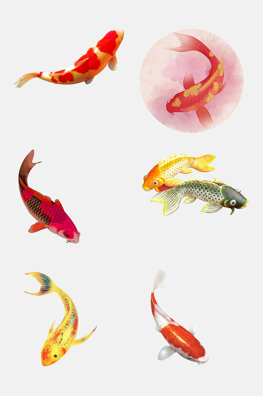 幸福万年吉祥如意鲤鱼锦鲤设计元素