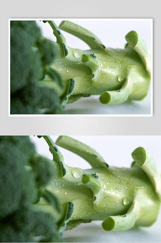 西蓝花梗蔬果图片
