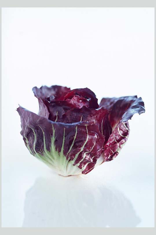 紫甘蓝蔬果高清图片