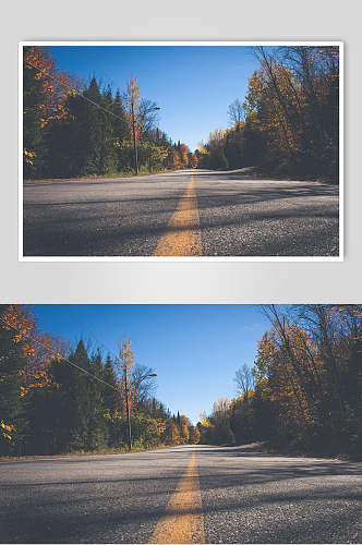 森林公路风景图片