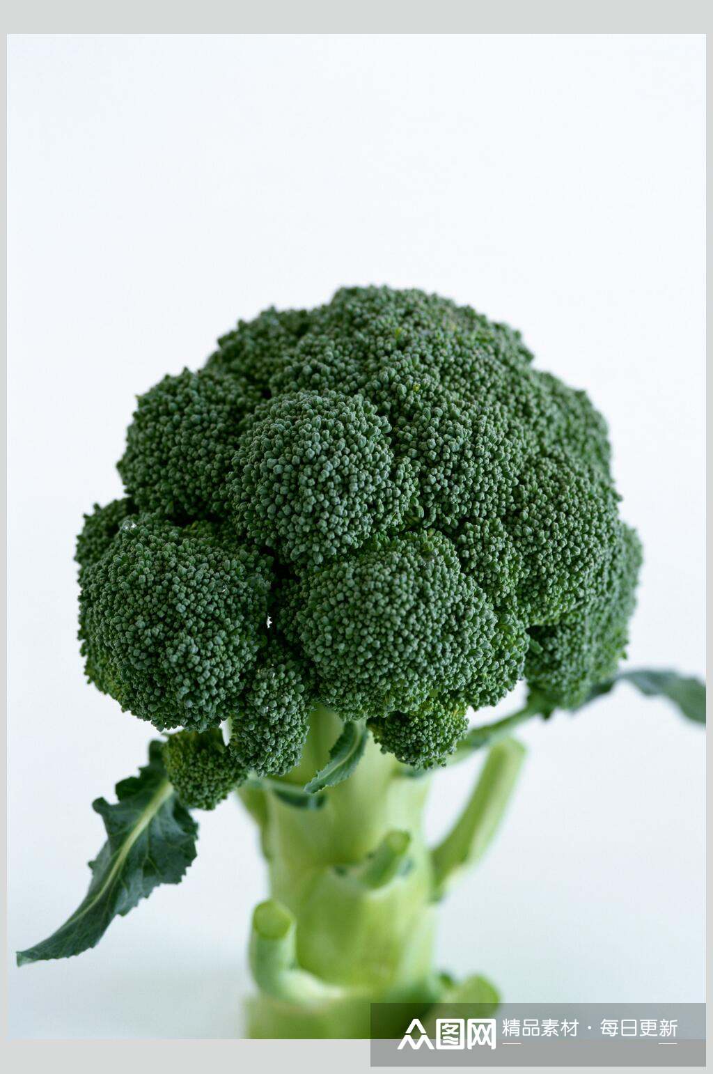 西蓝花蔬果高清图片素材