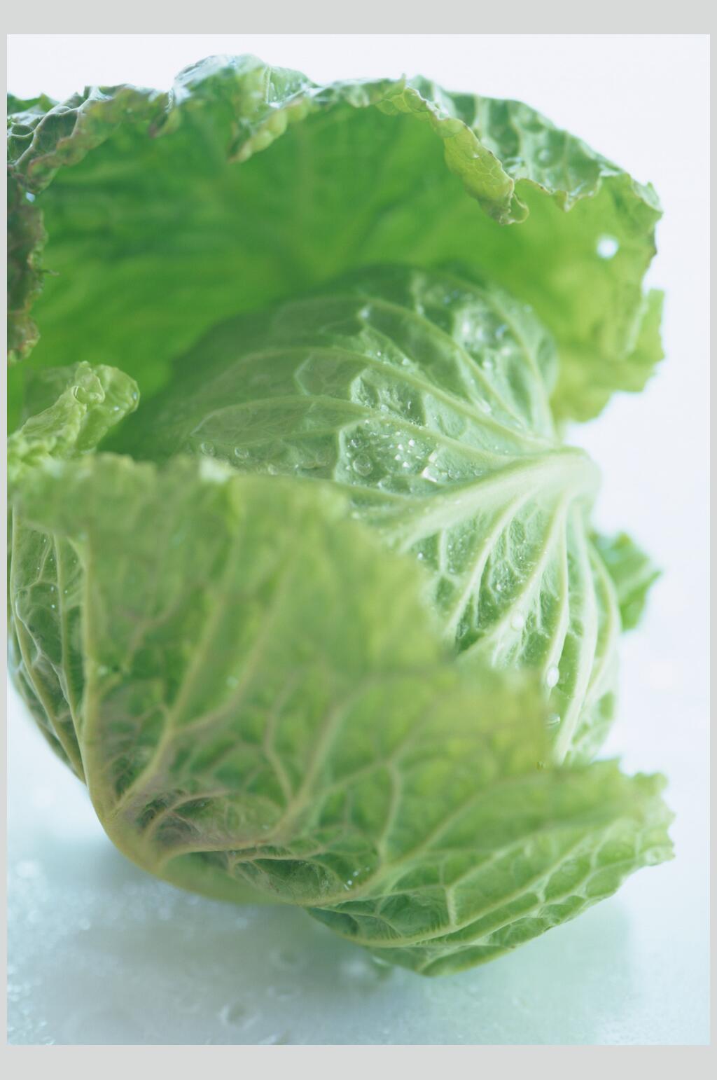 包菜蔬果图片素材