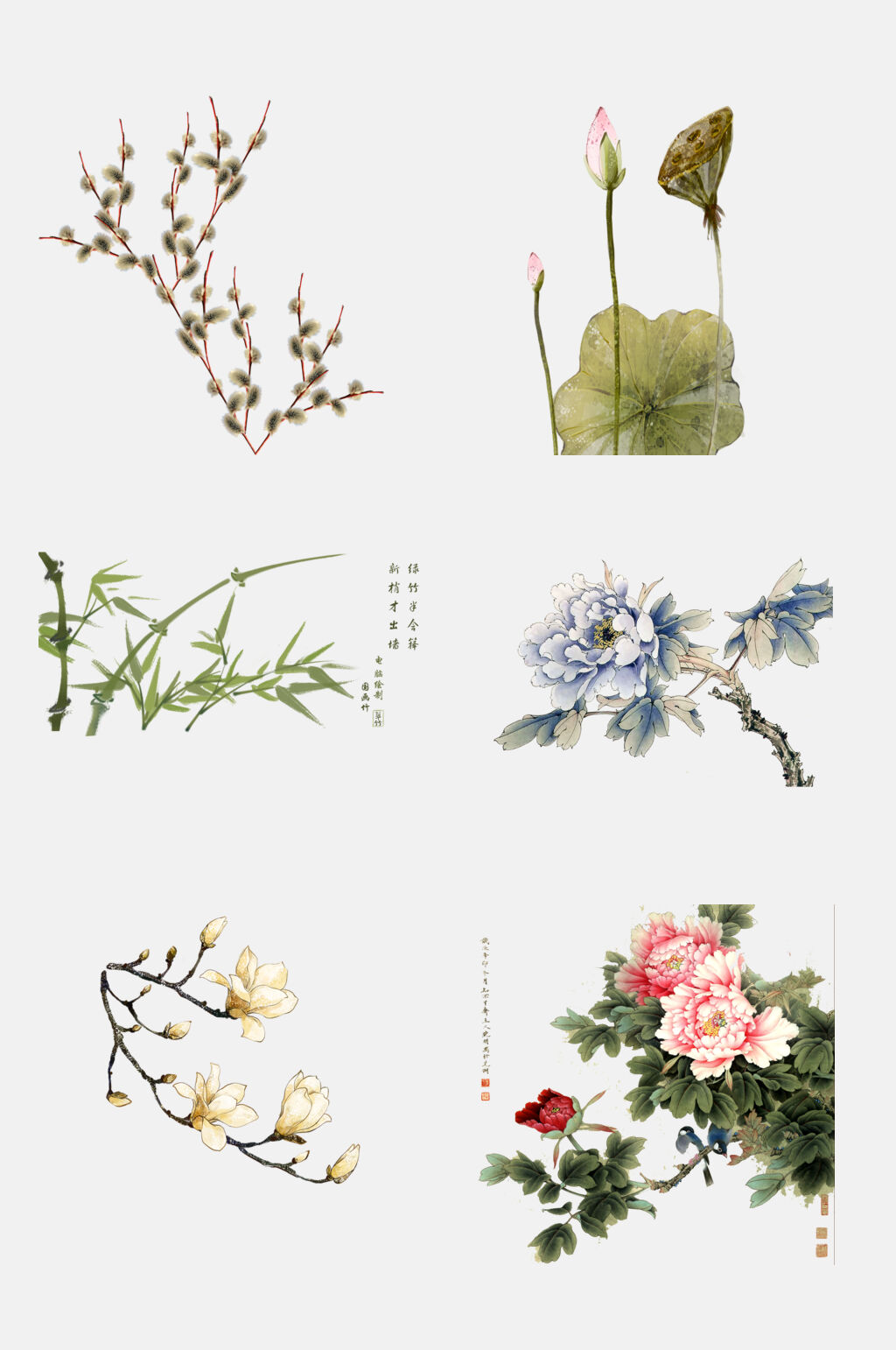 水墨工筆畫花卉植物免摳設(shè)計(jì)元素素材