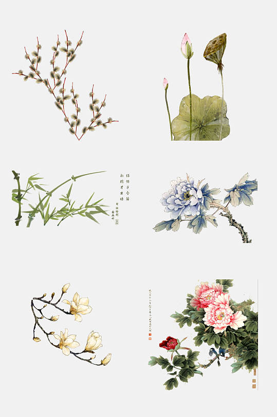 水墨工笔画花卉植物免抠设计元素