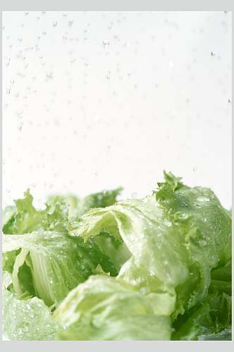 健康蔬菜叶子蔬果图片
