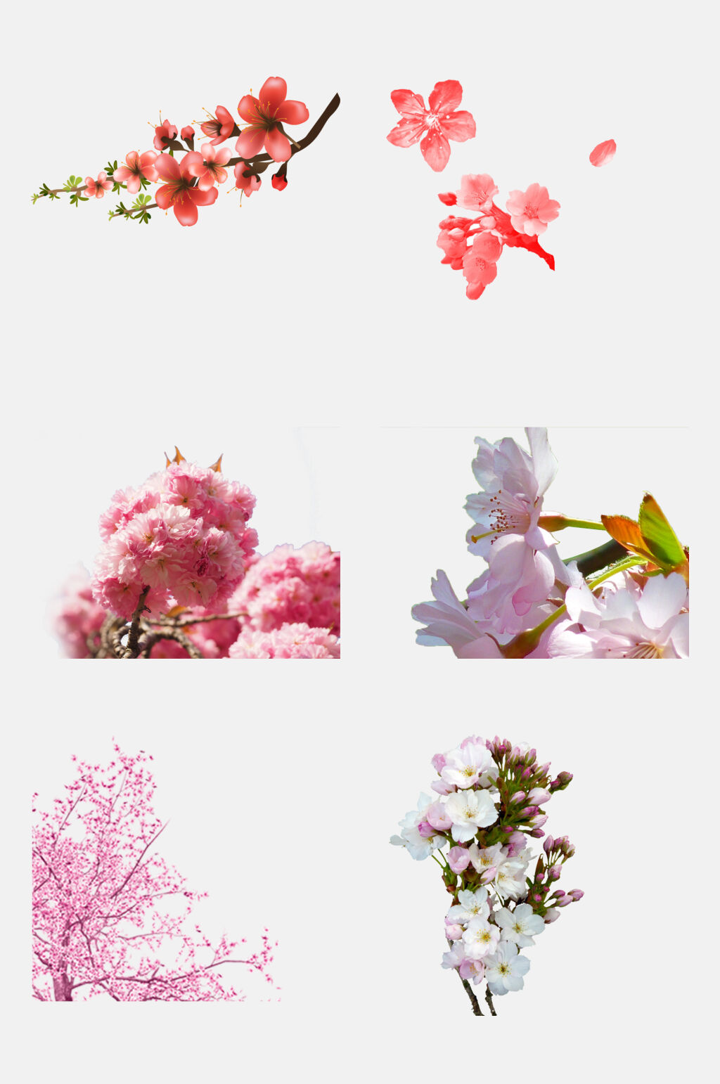 唯美樱花花海免抠设计元素素材