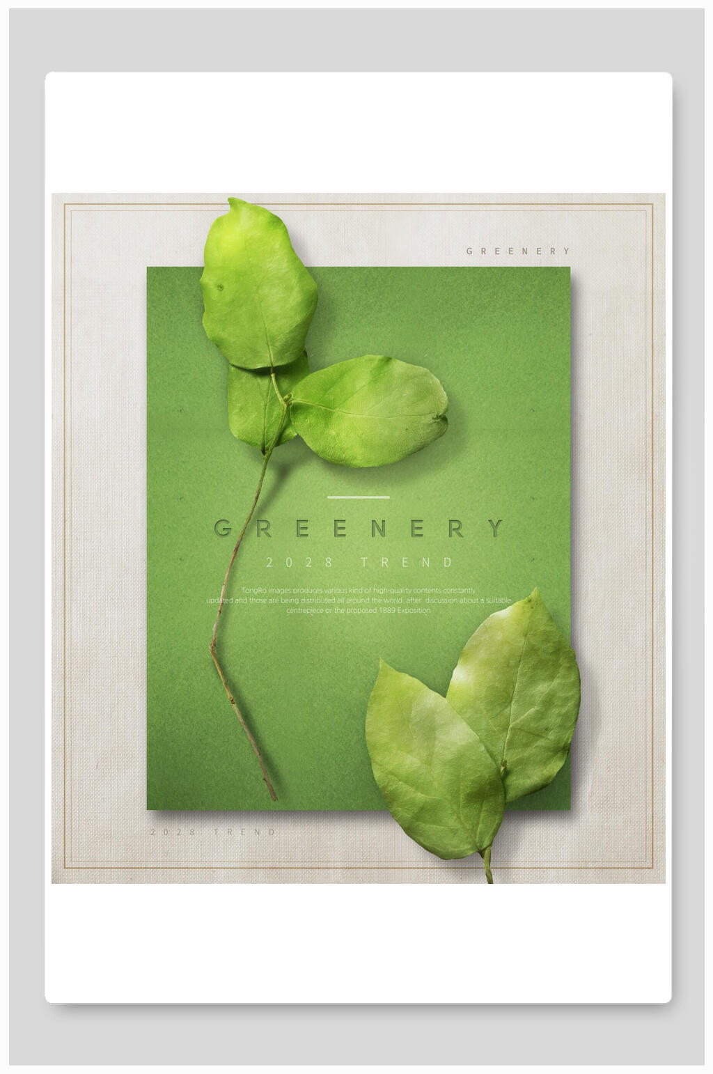 简约绿色植物海报