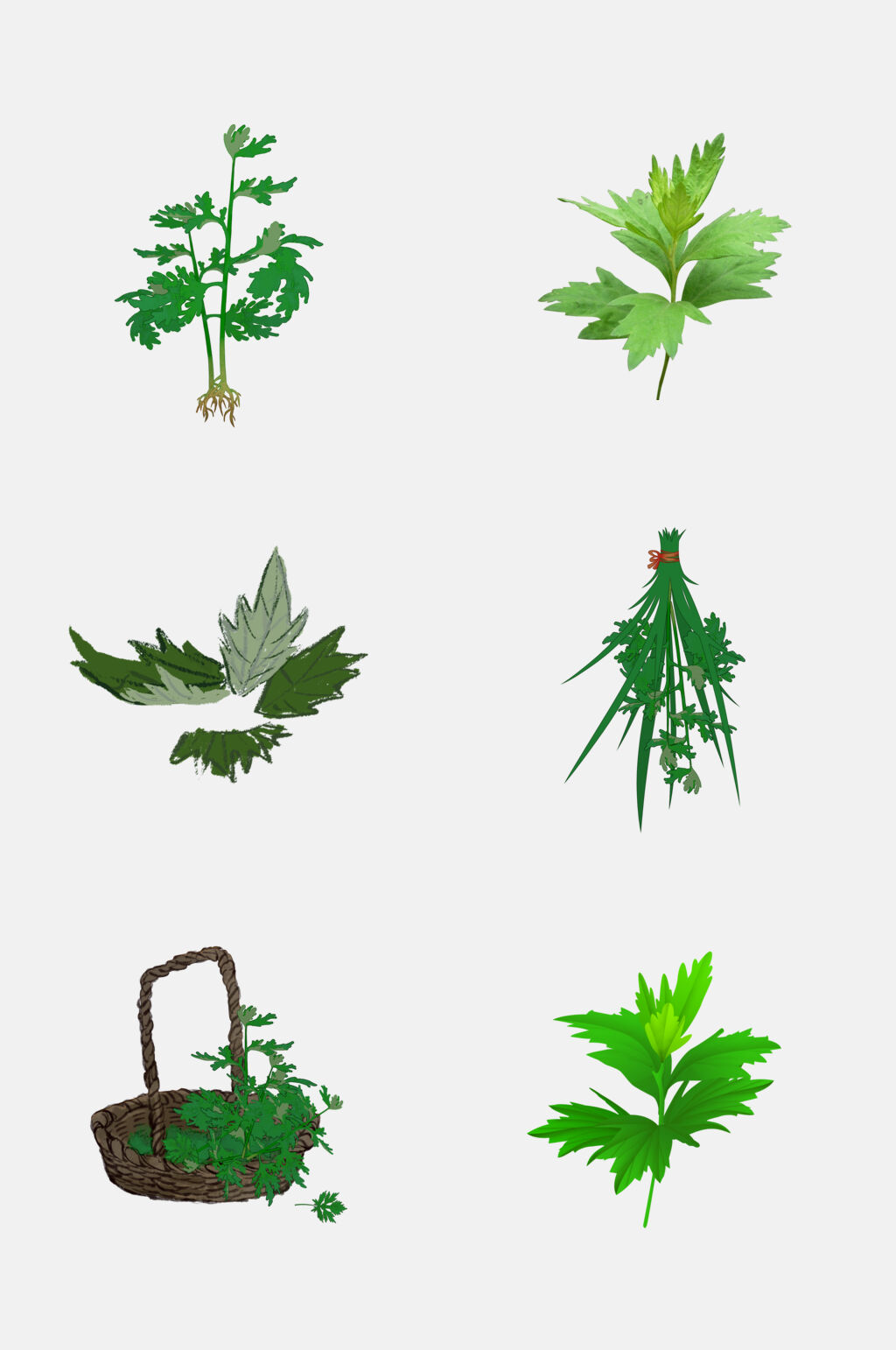 众图网独家提供植物艾草免抠设计元素素材免费下载,本作品是由小红