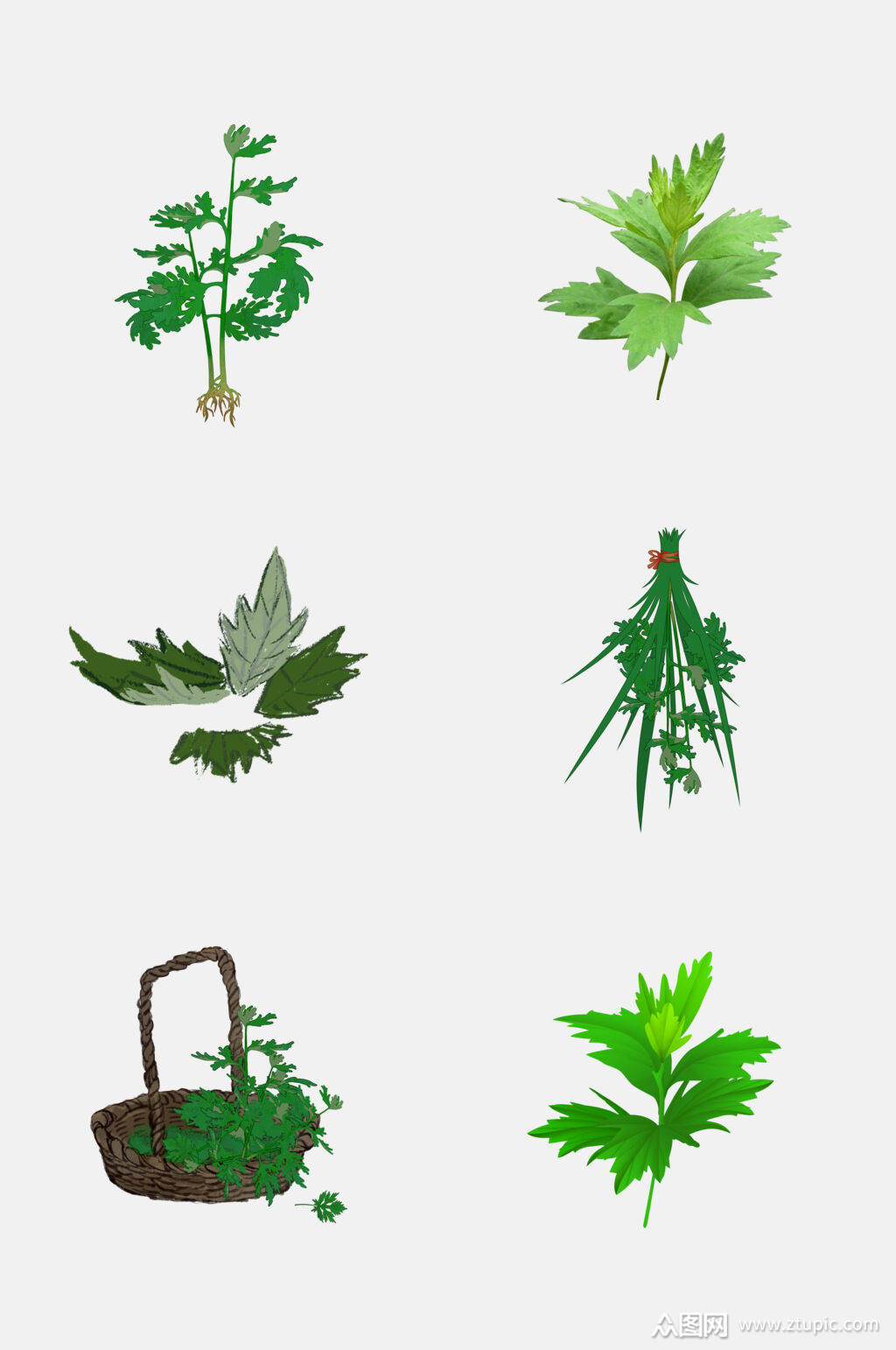 植物艾草免抠设计元素