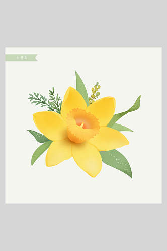 黄色花卉工笔插画素材