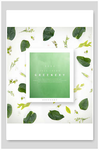 清新大方绿色植物海报
