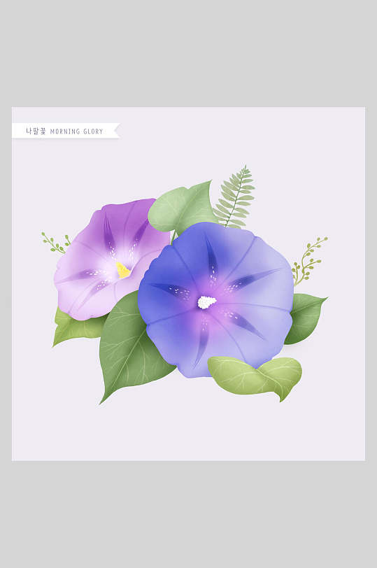 喇叭花花卉工笔插画素材