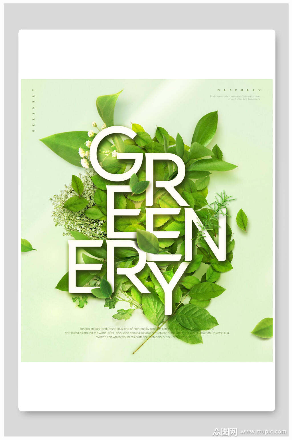 绿色自然无污染绿色植物海报