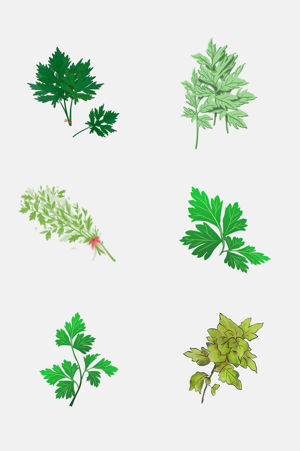 水彩植物艾草免抠设计元素立即下载植物卡通草莓免抠元素立即下载手绘