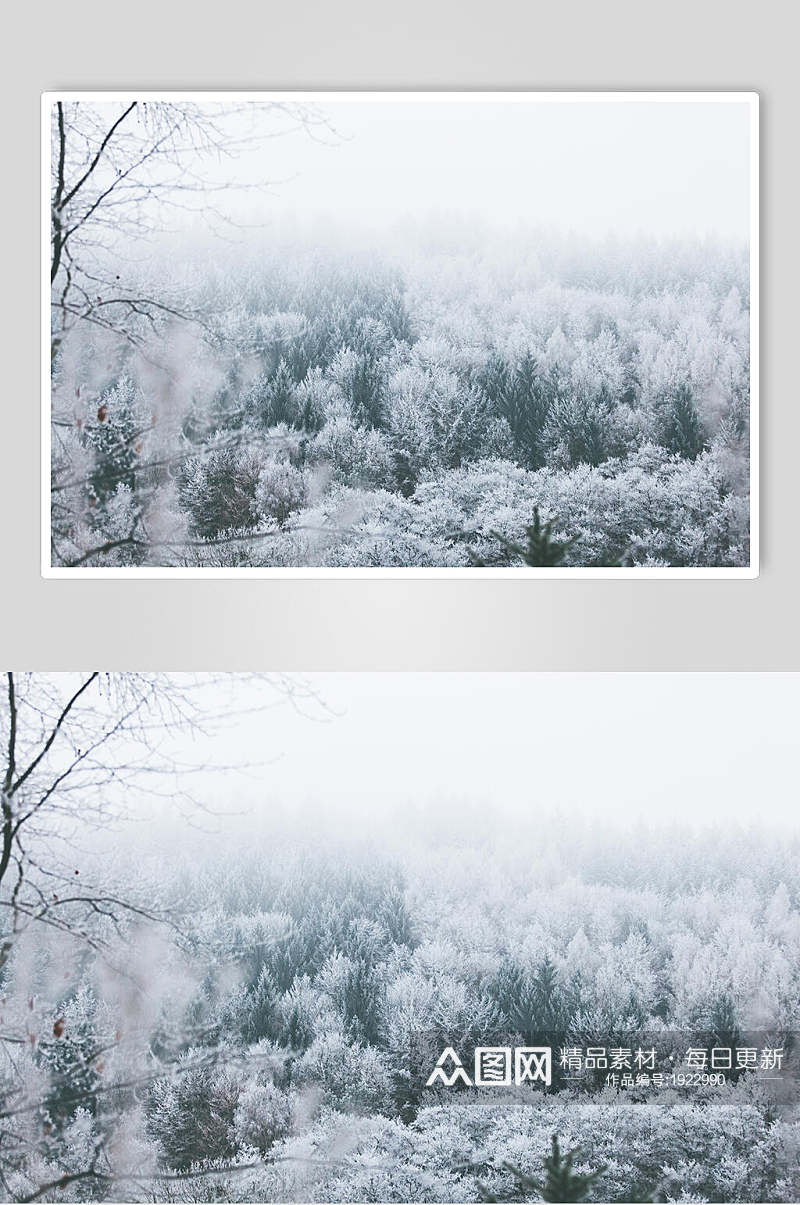 白雪皑皑树林风景图片素材