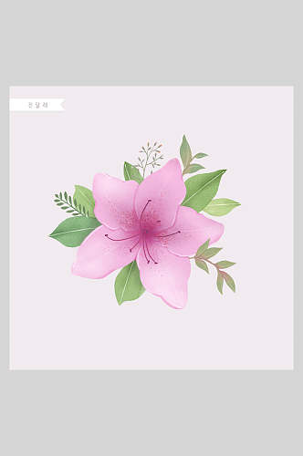 粉色水彩花卉工笔插画素材