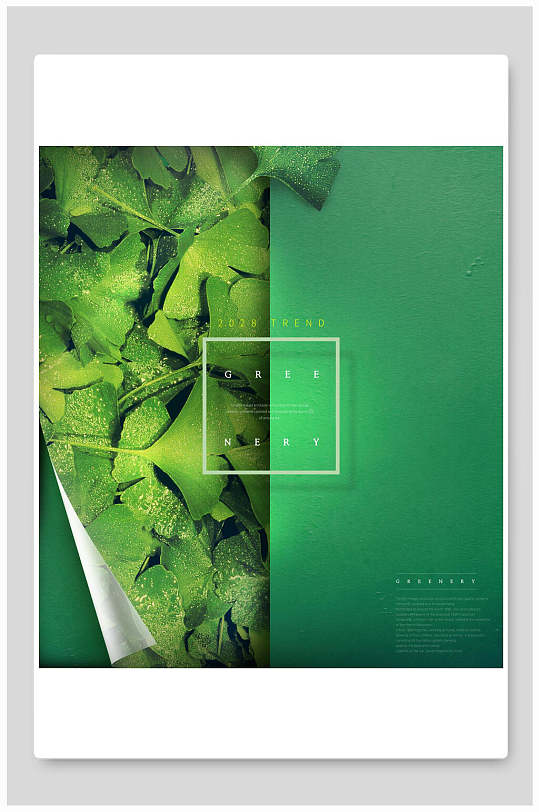清新护眼绿植绿色植物海报