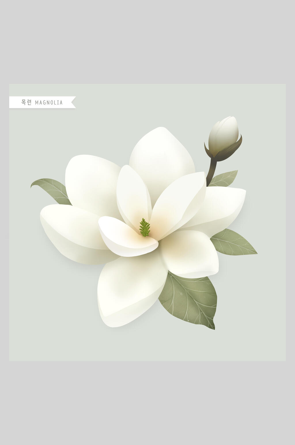 白色花卉工笔插画素材素材
