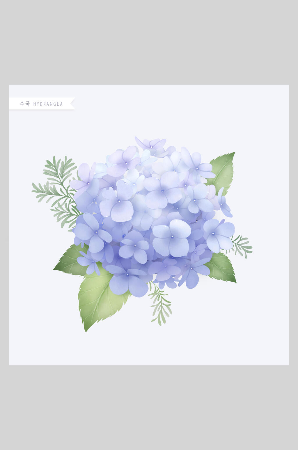 绣球花花卉工笔插画素材素材
