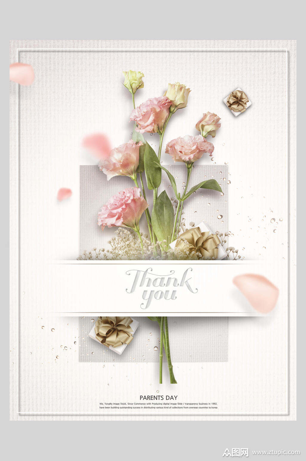 母亲节康乃馨花瓣花卉海报