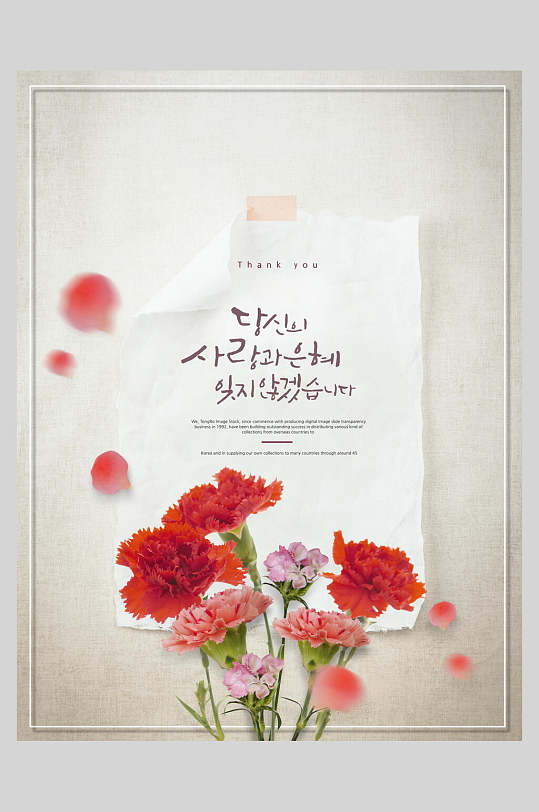 红色康乃馨花瓣花卉海报