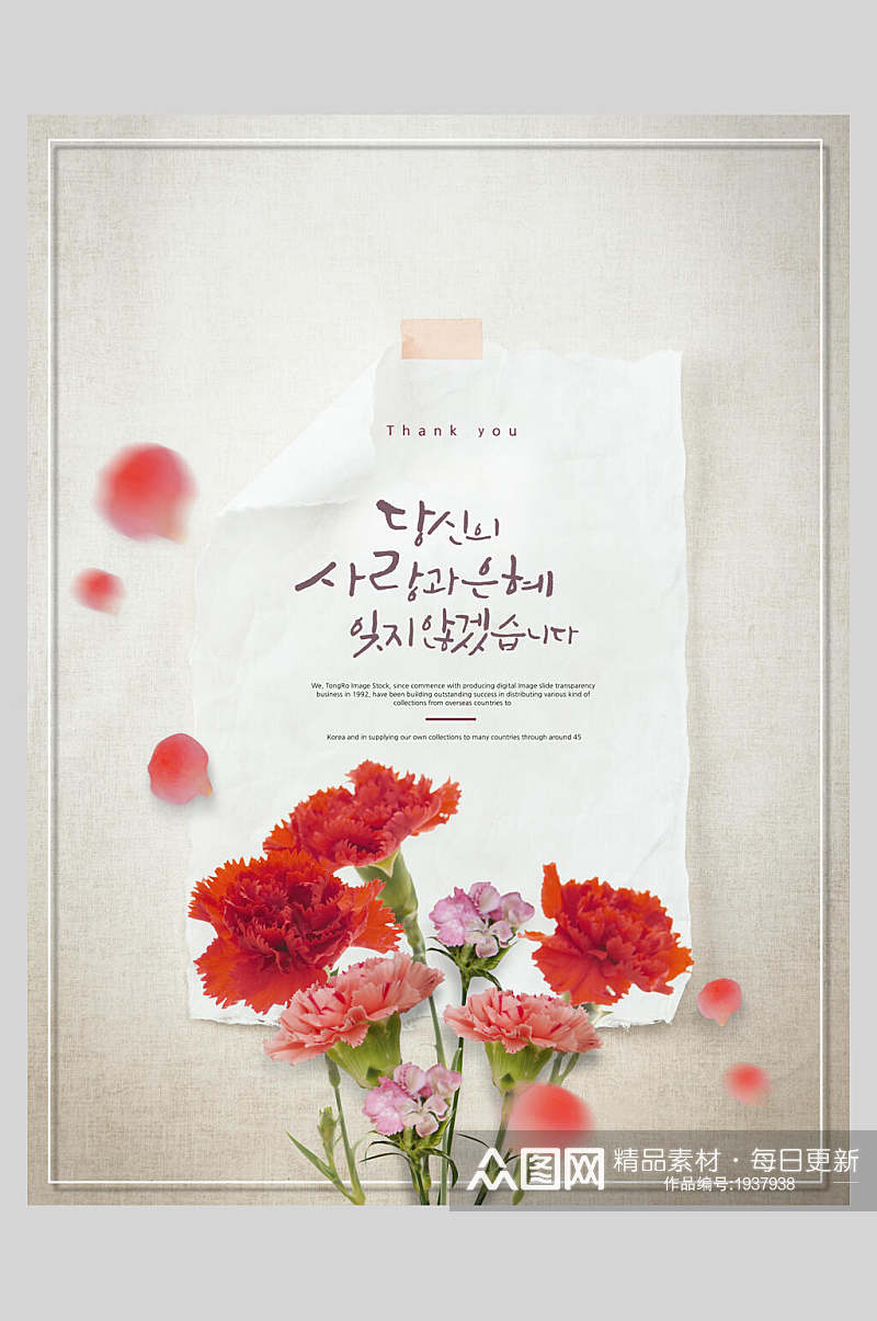 红色康乃馨花瓣花卉海报素材