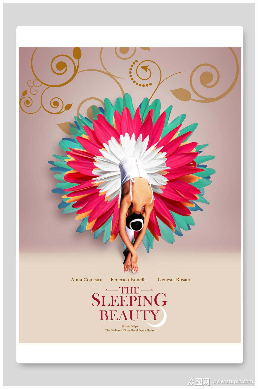 唯美创意舞蹈培训海报