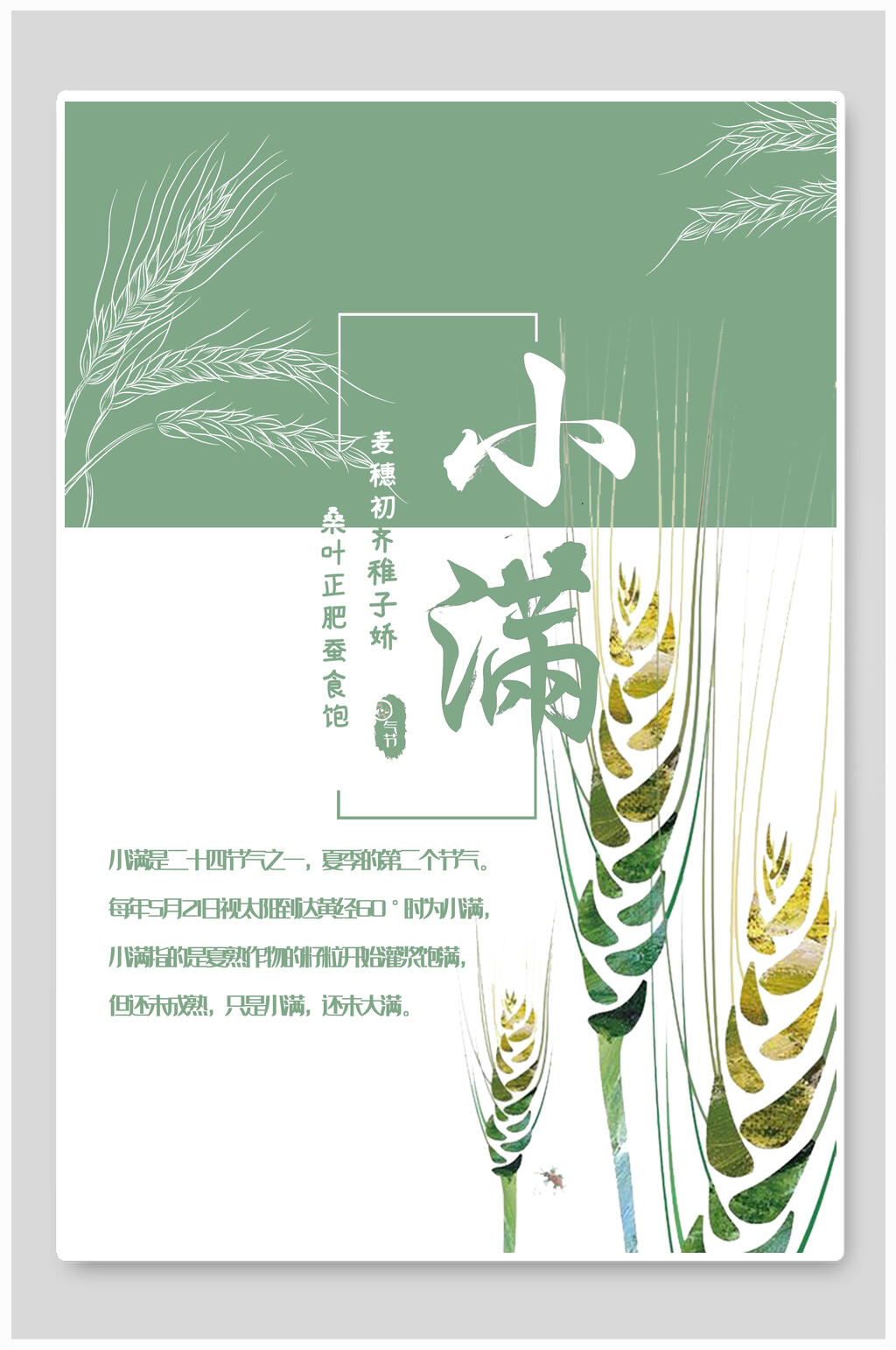 清新麦穗节气小满海报素材