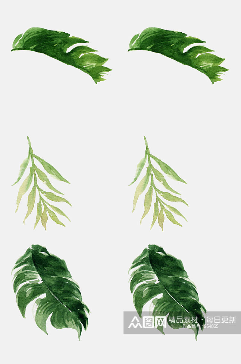 热带植物免抠元素植物叶子设计元素素材