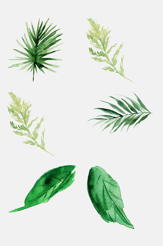 热带植物png图片-热带植物png素材下载-众图网