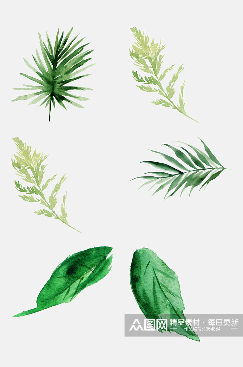 热带植物免抠元素植物热带植物素材