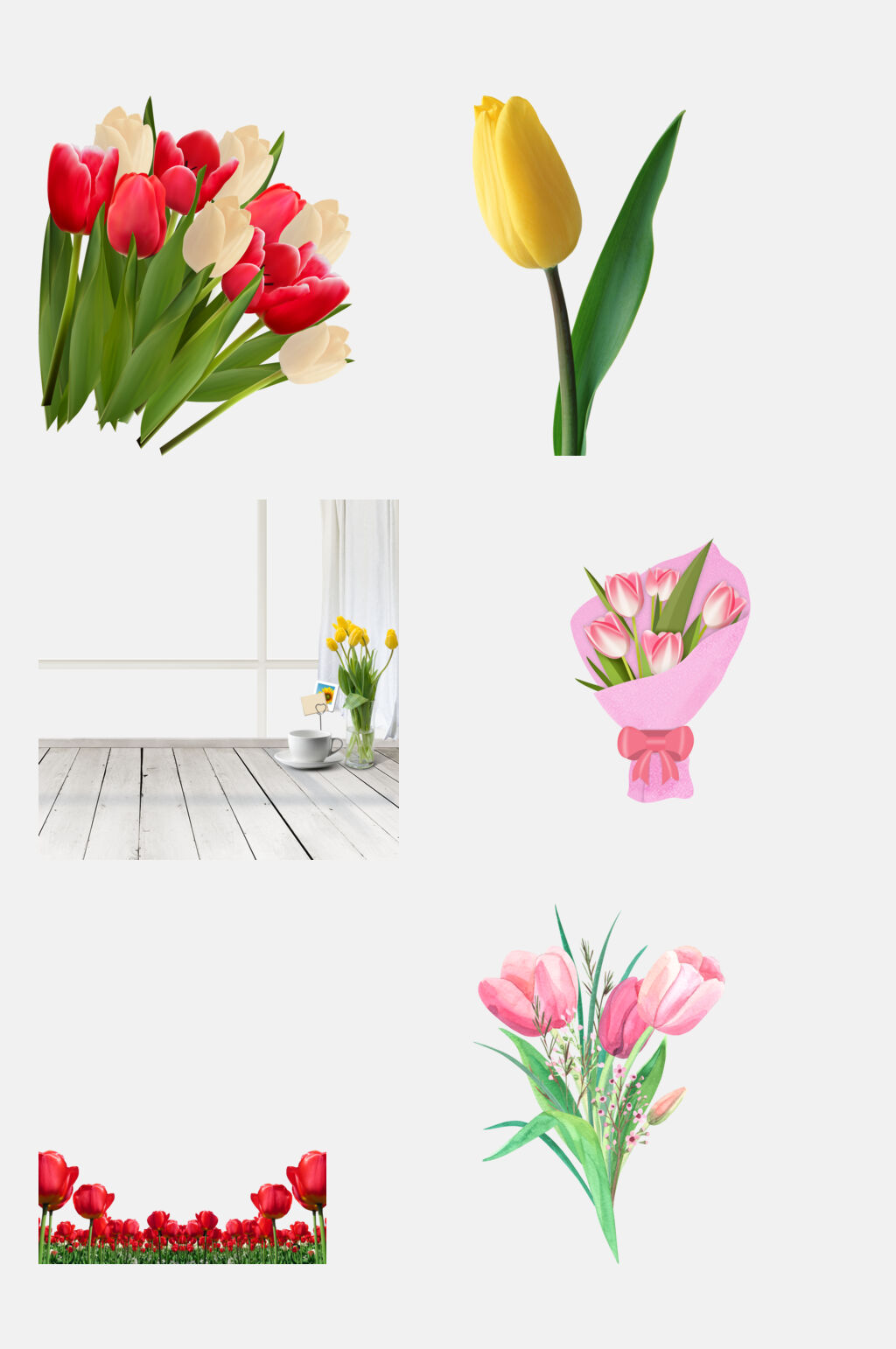 清新淡雅鲜花兰花花朵免抠元素素材