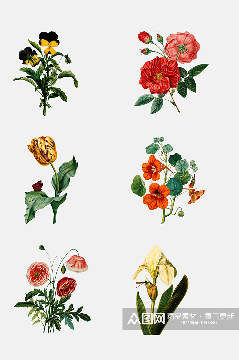 清新手绘植物花卉鲜花免抠设计元素素材