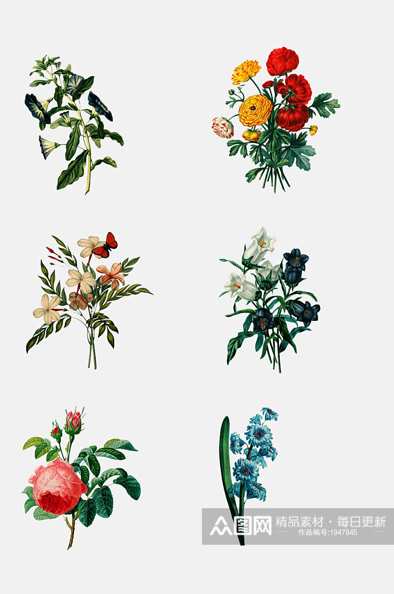 清新手绘植物花卉免抠设计元素素材