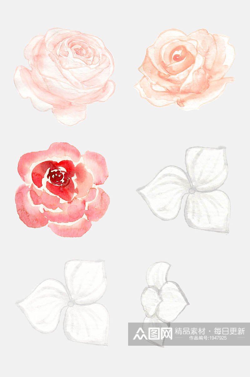 手绘水彩花朵花瓣免抠设计元素素材