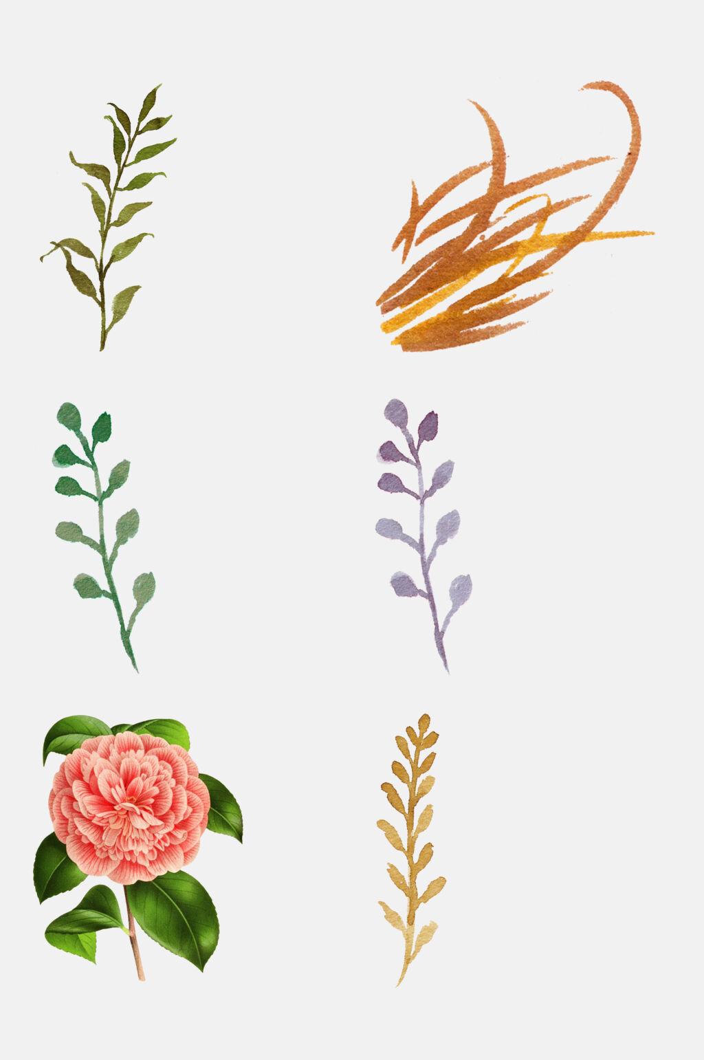 简约水彩手绘植物花卉免抠设计元素
