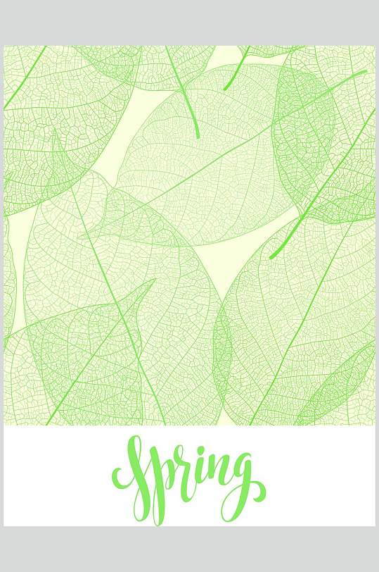 叶脉图片-叶脉素材下载-众图网