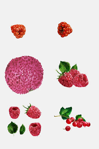 树莓小樱桃手绘水彩水果免抠元素
