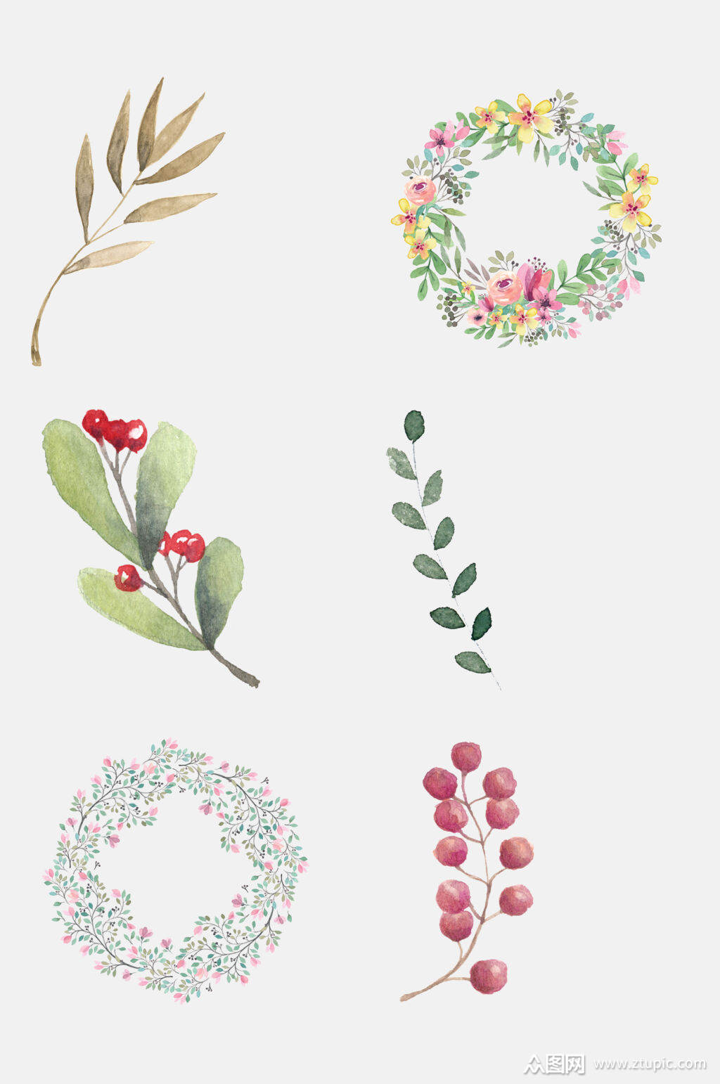 森系植物免抠花卉果实设计元素