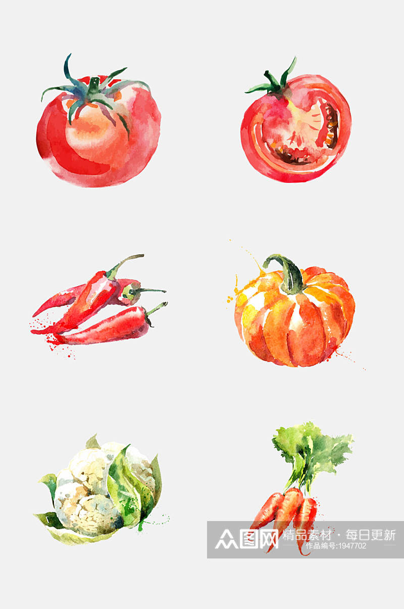 胡萝卜西红柿南瓜辣椒蔬菜设计元素素材