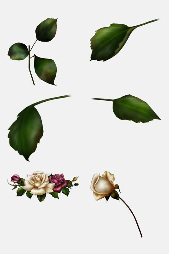 花叶元素-花叶元素图片-花叶元素素材下载-众图网