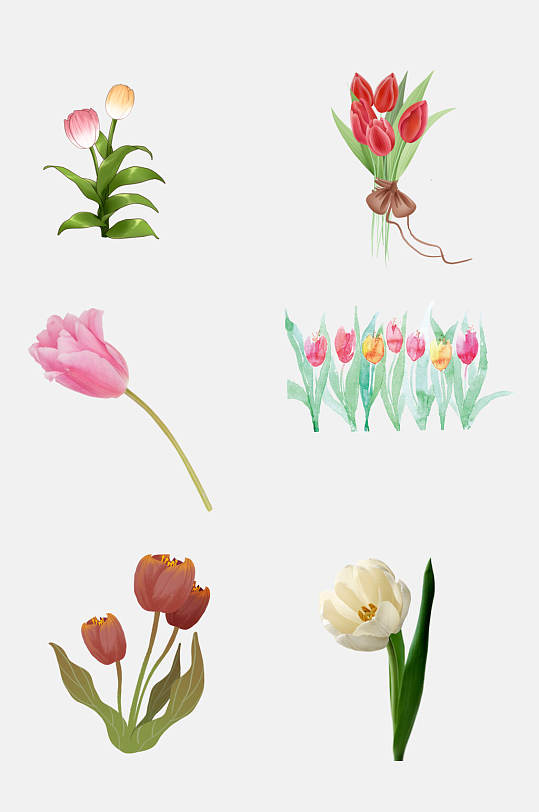 简约手绘鲜花兰花花朵好看免抠元素